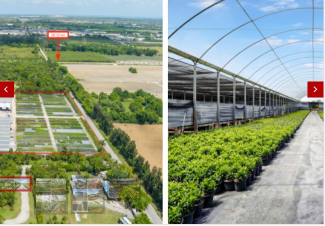 Commercial Property for Sale in Homestead Florida 33031